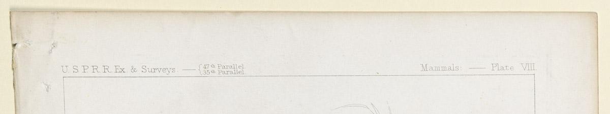 1969.2767 Print, detail 1