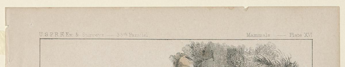 1969.2768 Print, detail 1