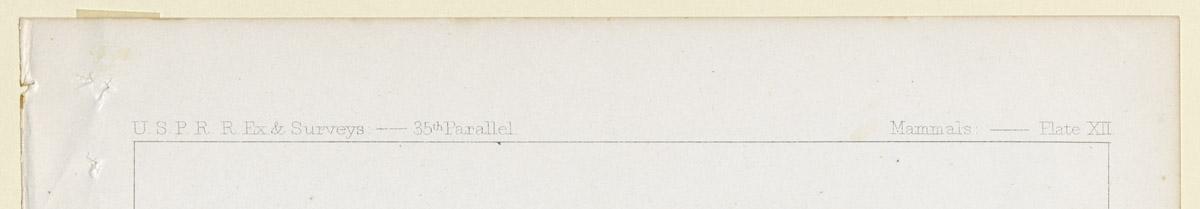 1969.2769 Print, detail 1