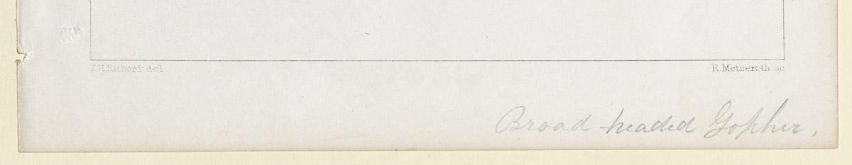 1969.2769 Print, detail 2