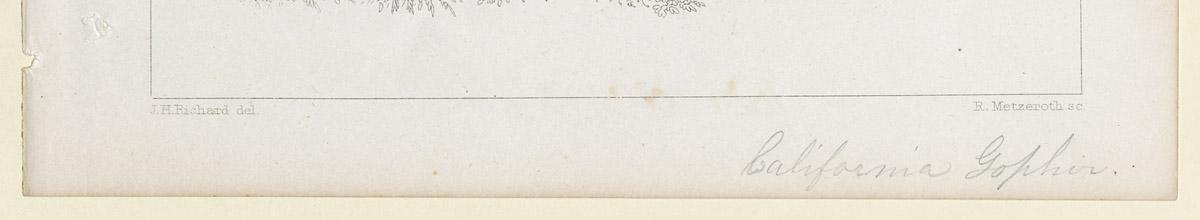 1969.2770 Print, detail 2