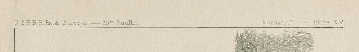 1969.2771 Print, detail 1