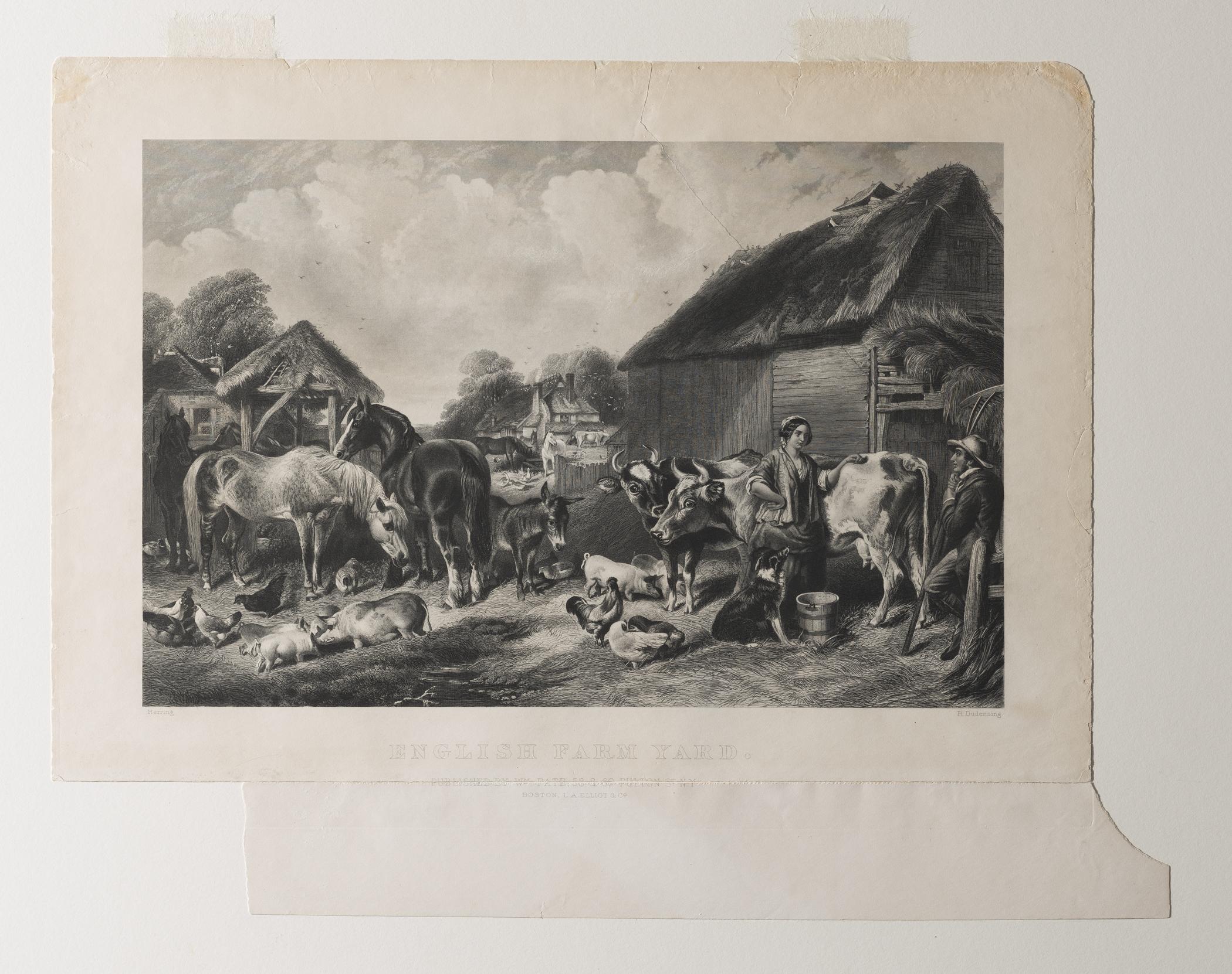 1969.2778 Print, view 2, raking light
