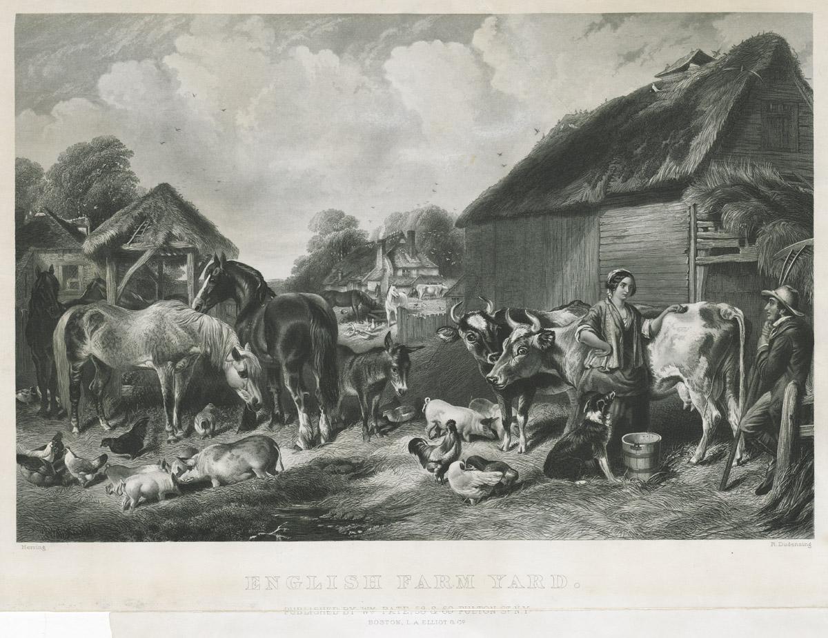 1969.2778 Print, image