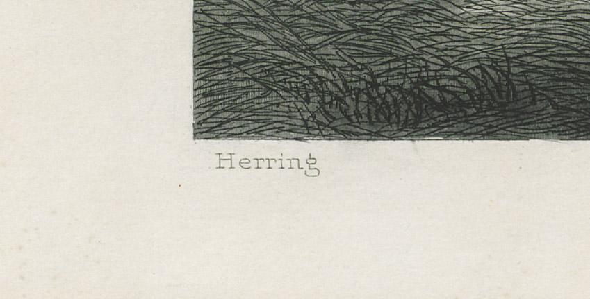 1969.2778 Print, detail 2