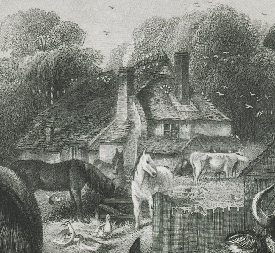 1969.2778 Print, detail 5