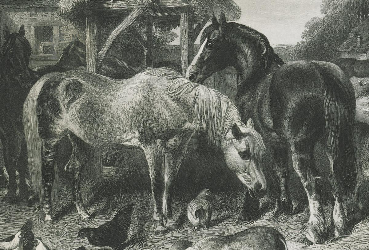 1969.2778 Print, detail 7
