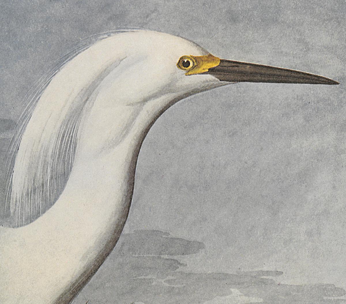 1969.2779.002 Print, Detail 2