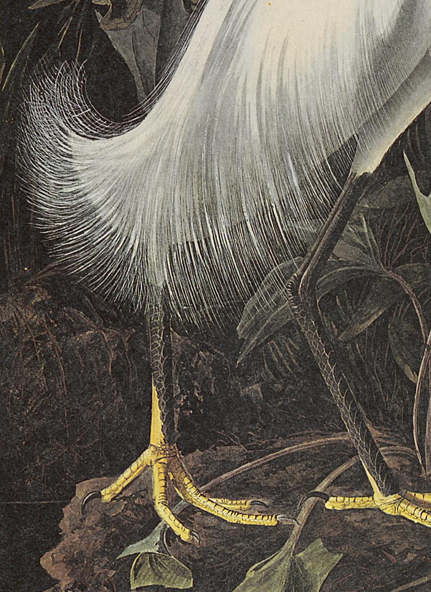 1969.2779.002 Print, Detail 3