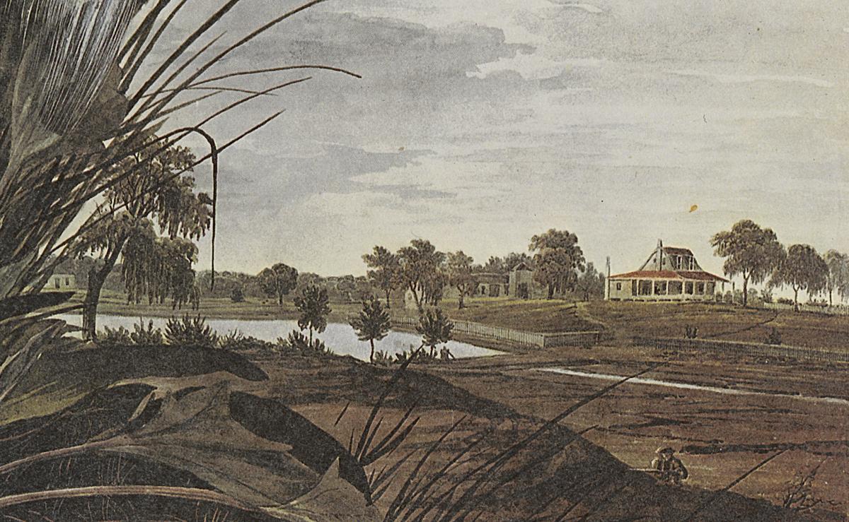 1969.2779.002 Print, Detail 4