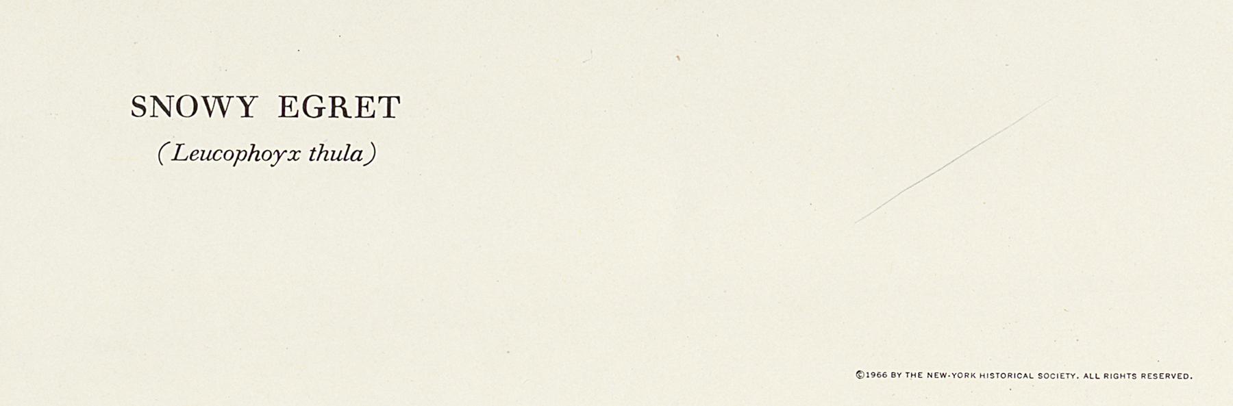1969.2779.002 Print, Detail 5