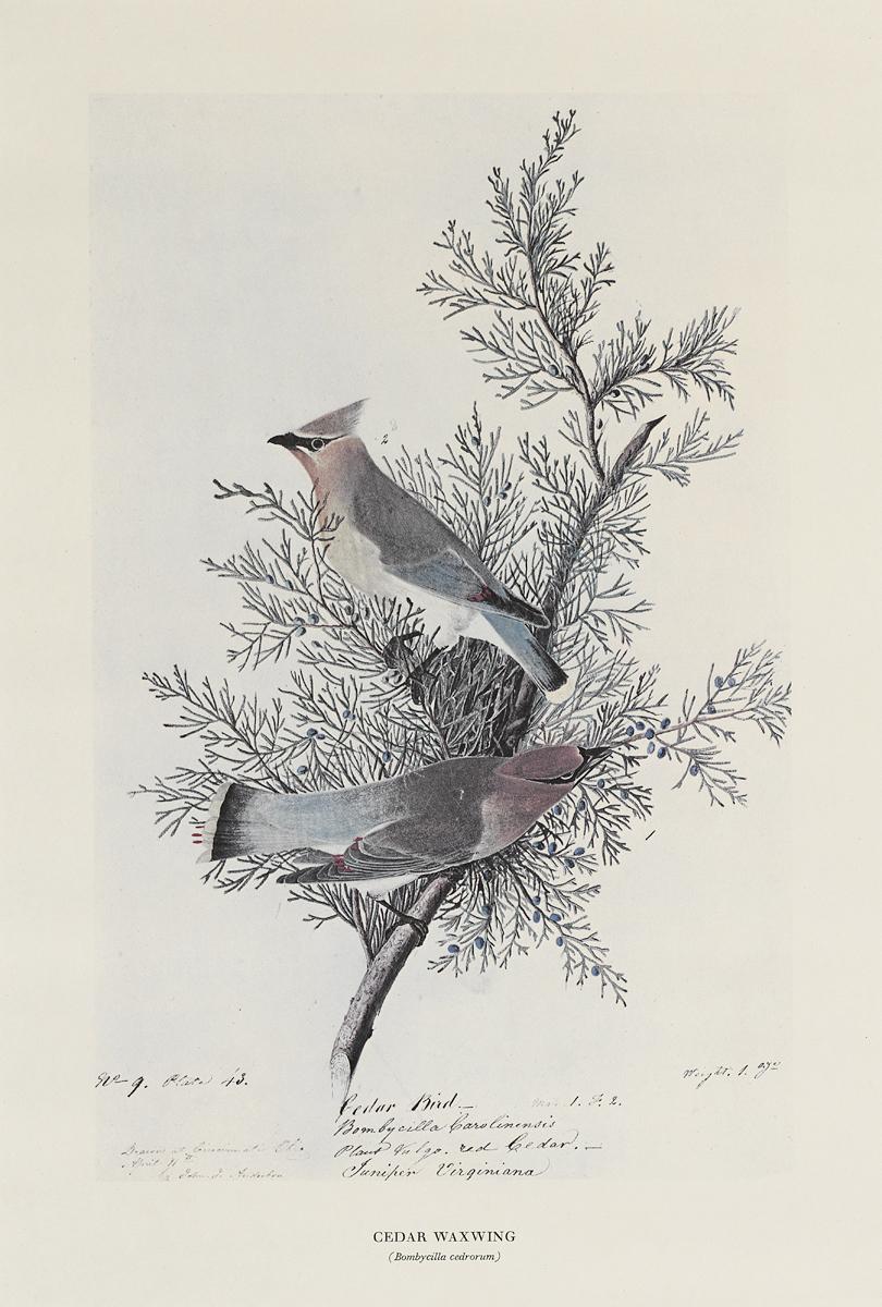 1969.2779.003 Print, View