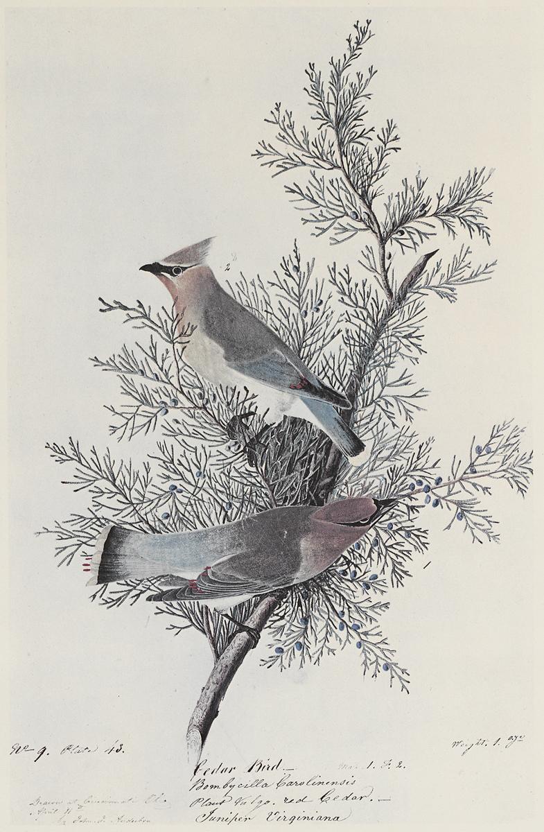 1969.2779.003 Print, View 2