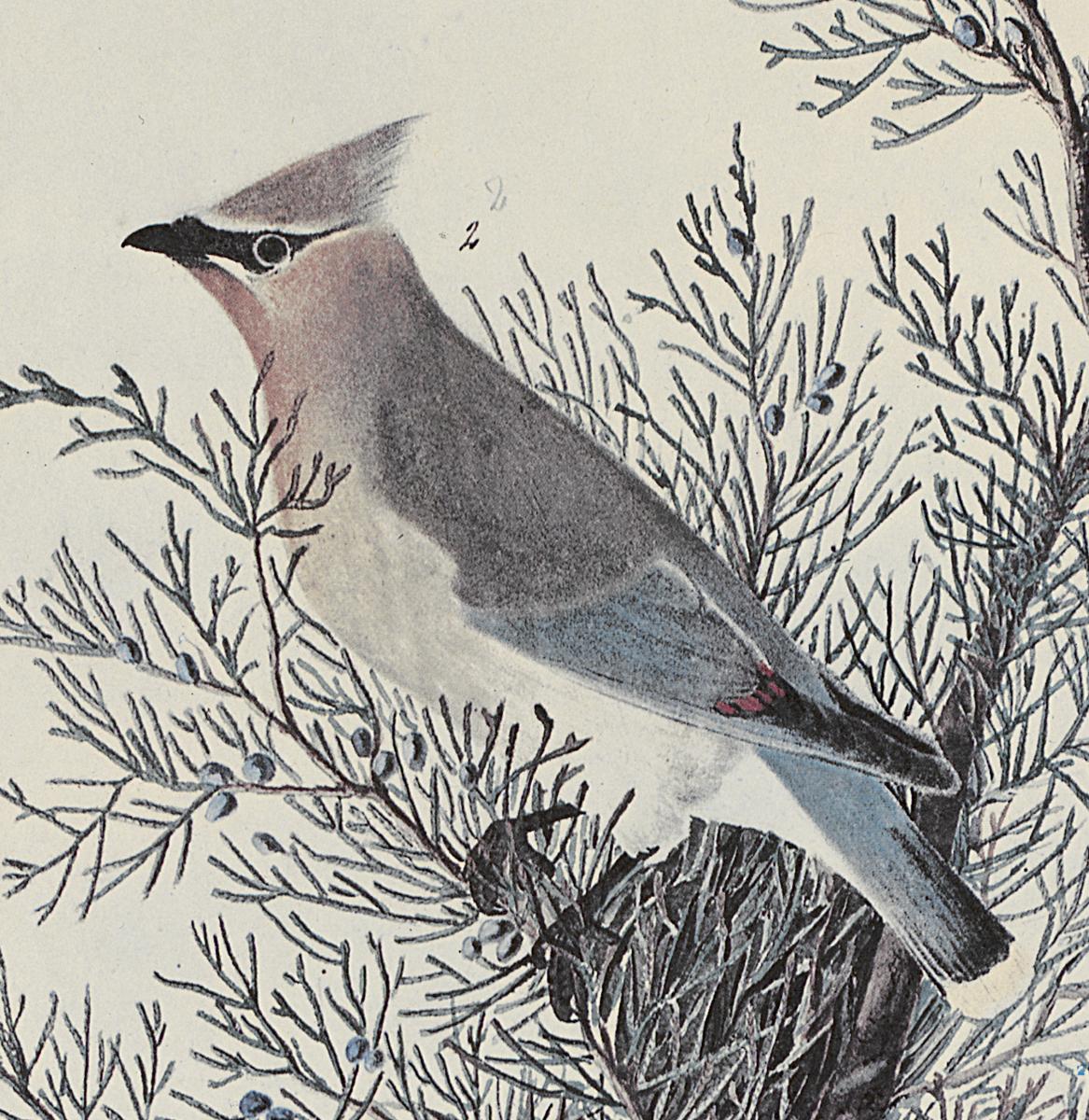 1969.2779.003 Print, Detail 2