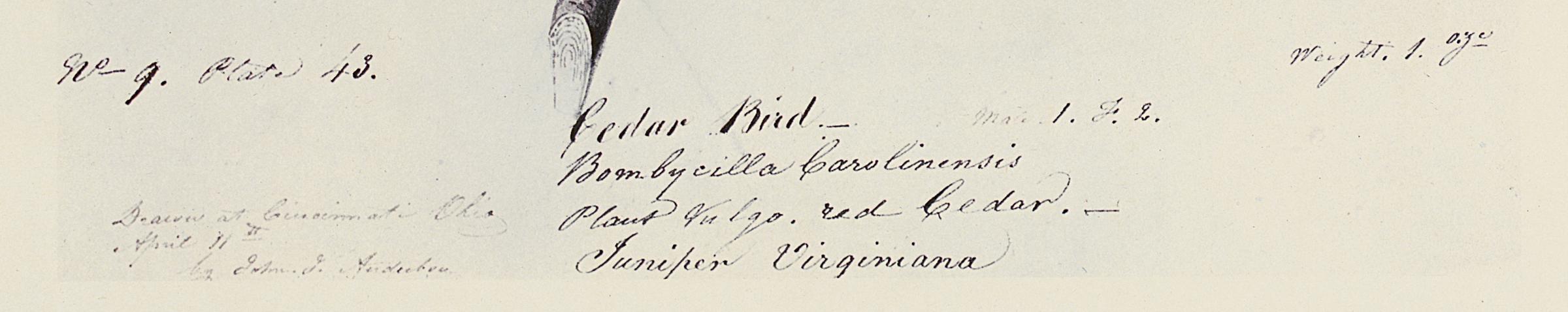 1969.2779.003 Print, Detail 4