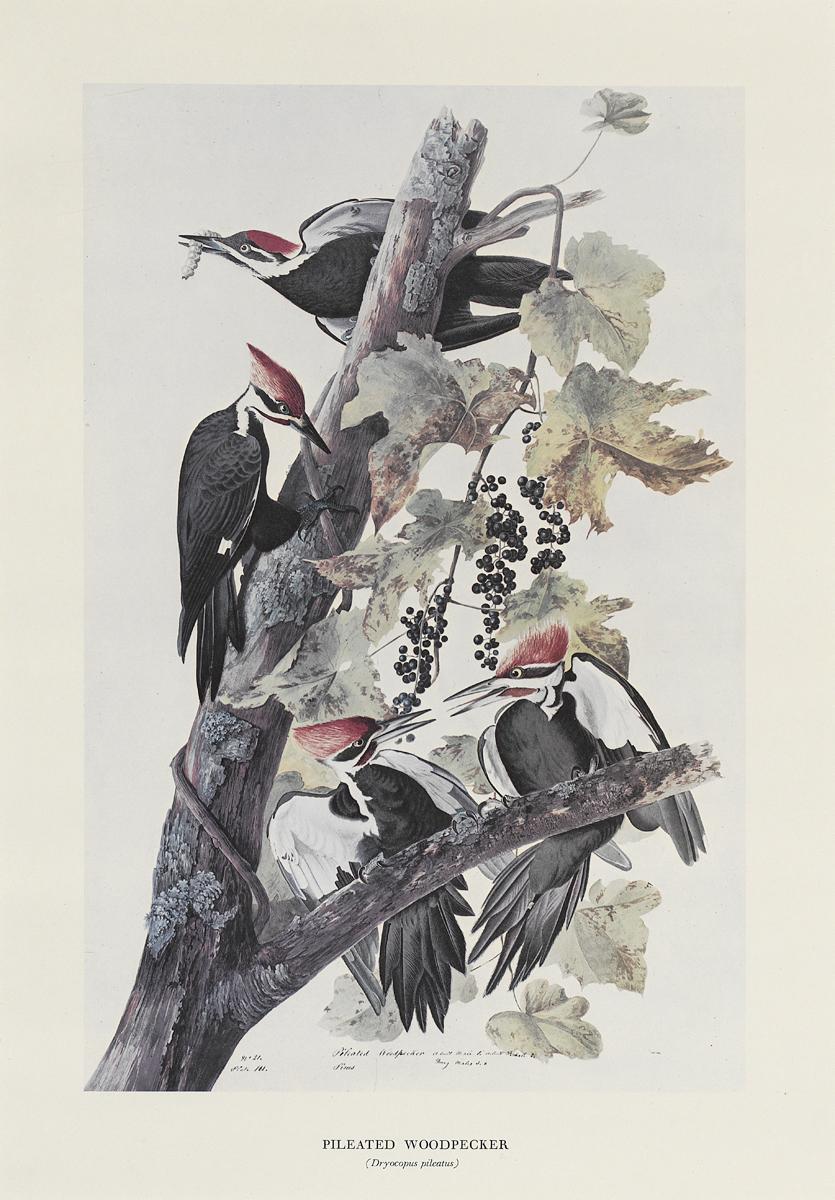 1969.2779.004 Print, View