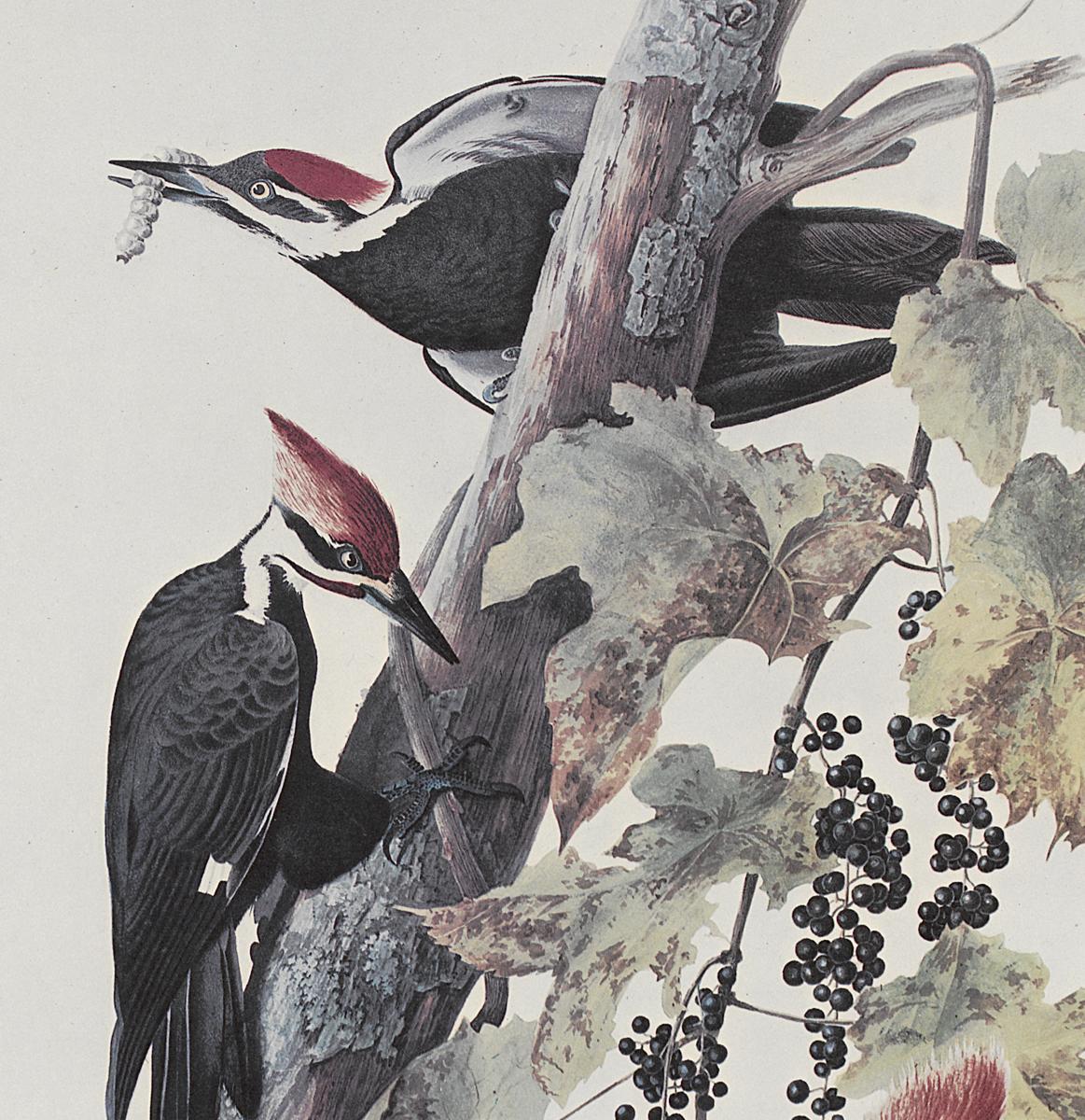 1969.2779.004 Print, Detail