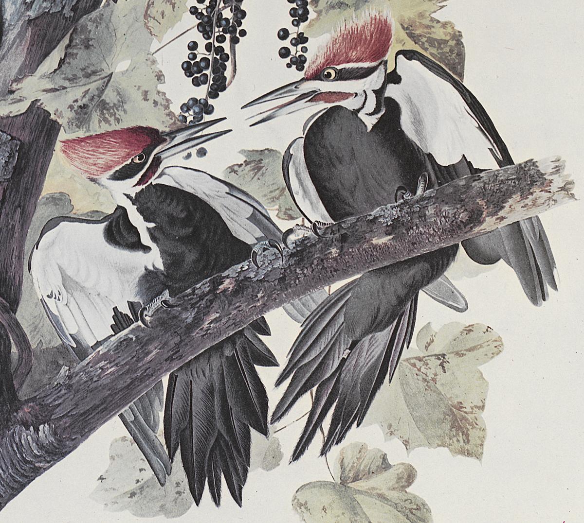 1969.2779.004 Print, Detail 2