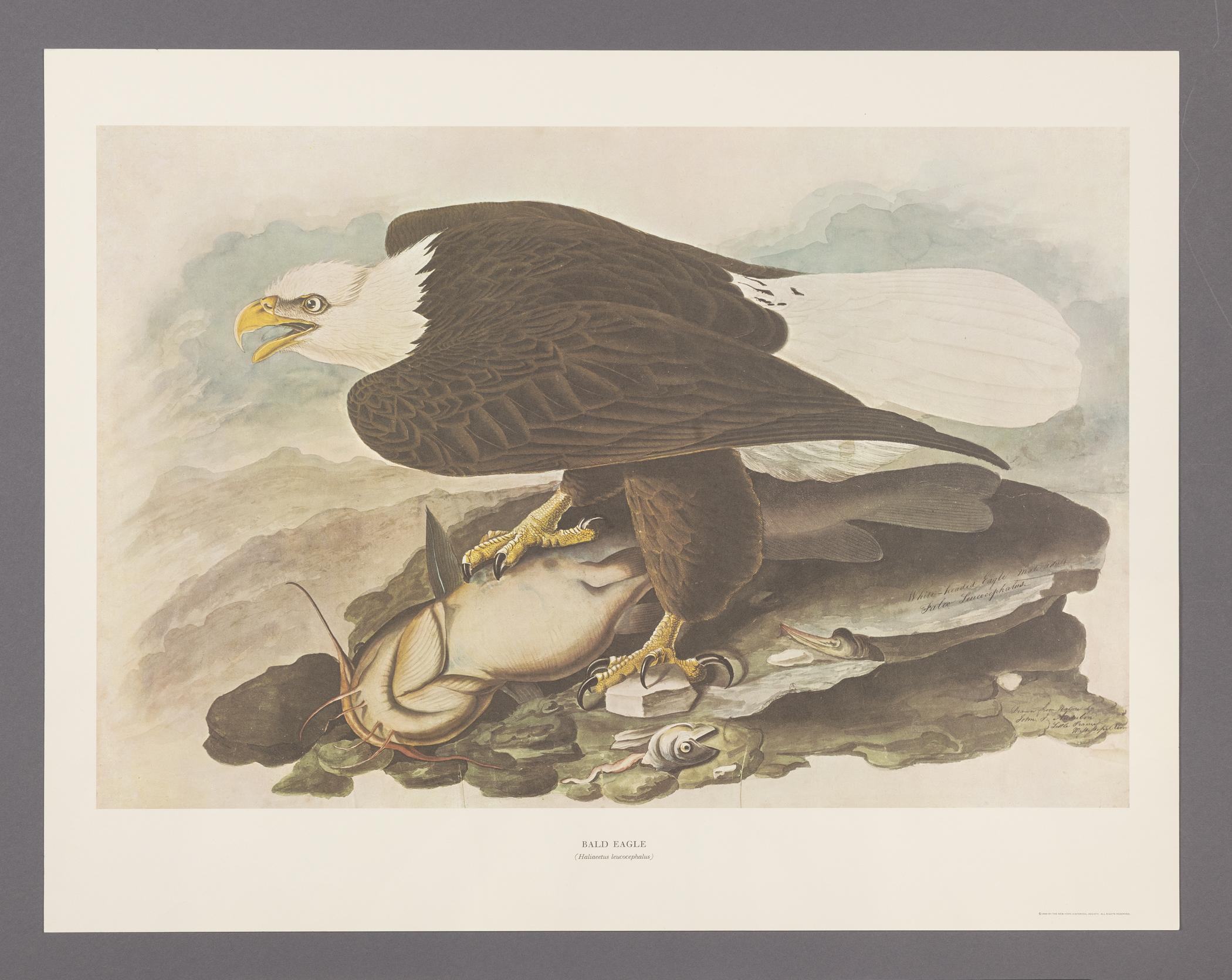 1969.2779.005 Print, view 1
