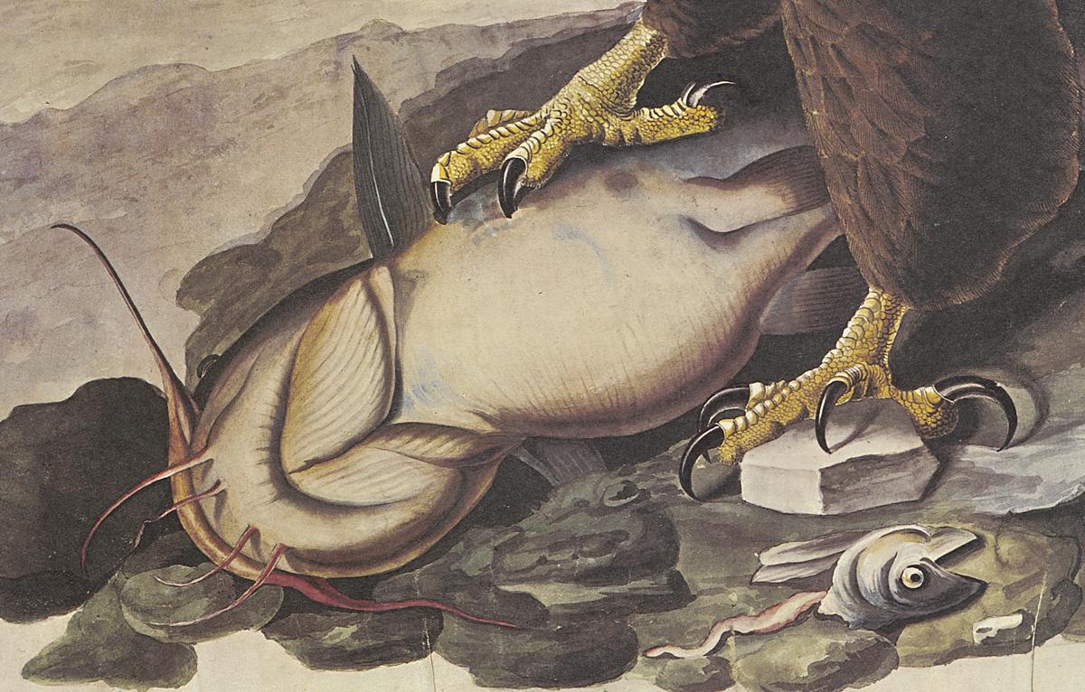 1969.2779.005 Print, Detail 2