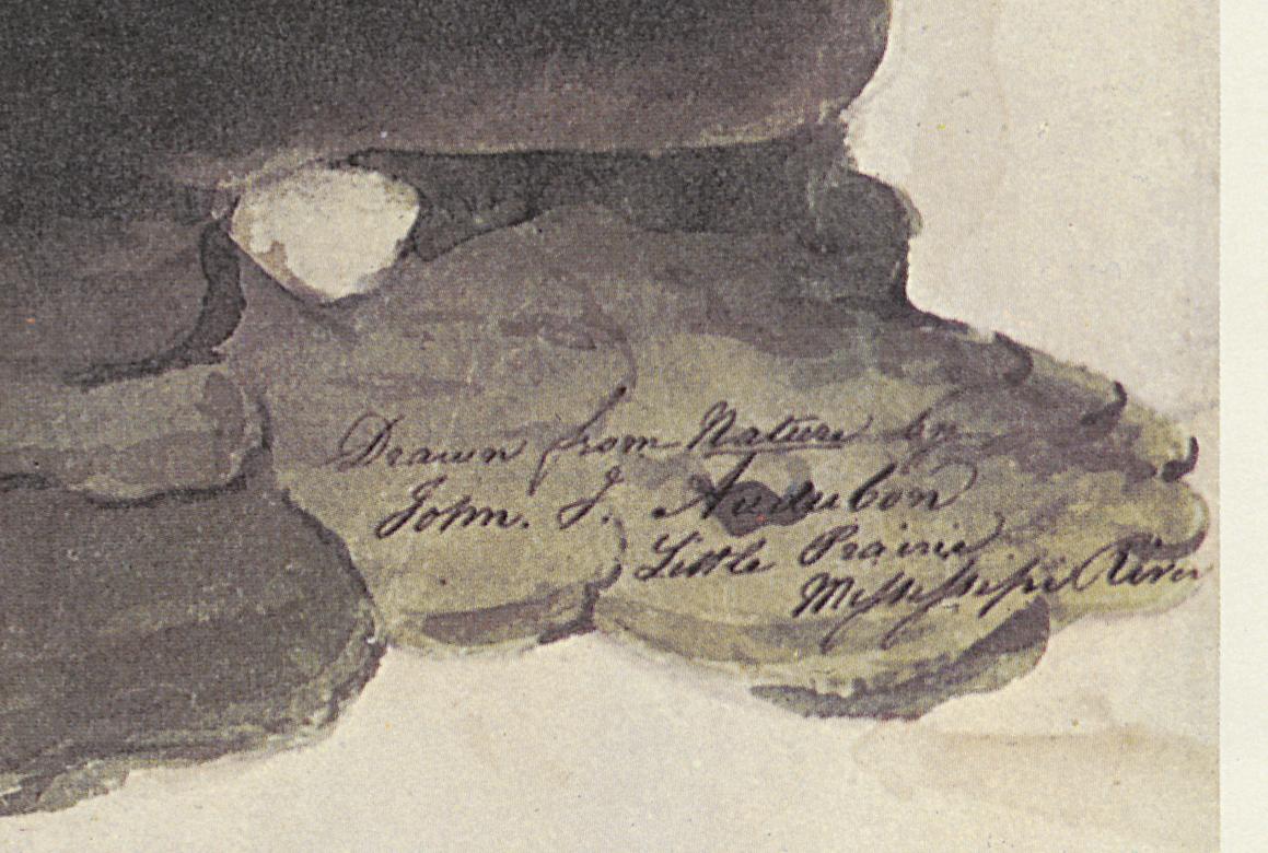 1969.2779.005 Print, Detail 4