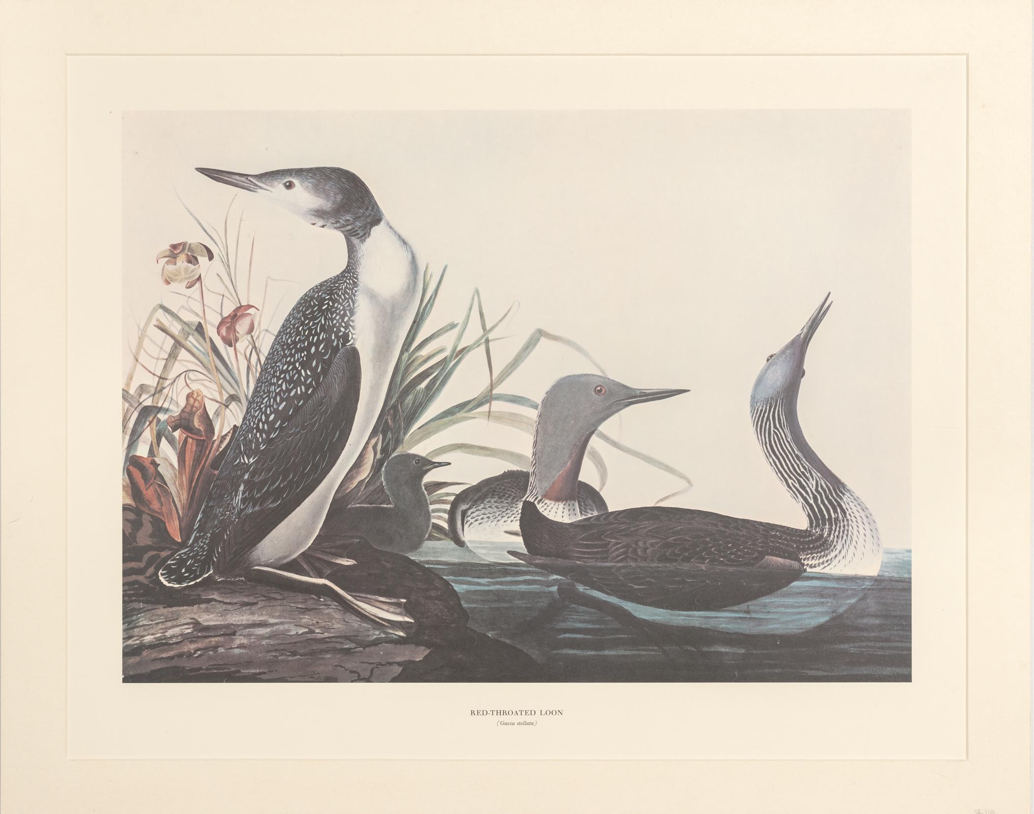 1969.2779.006 Print, view 1