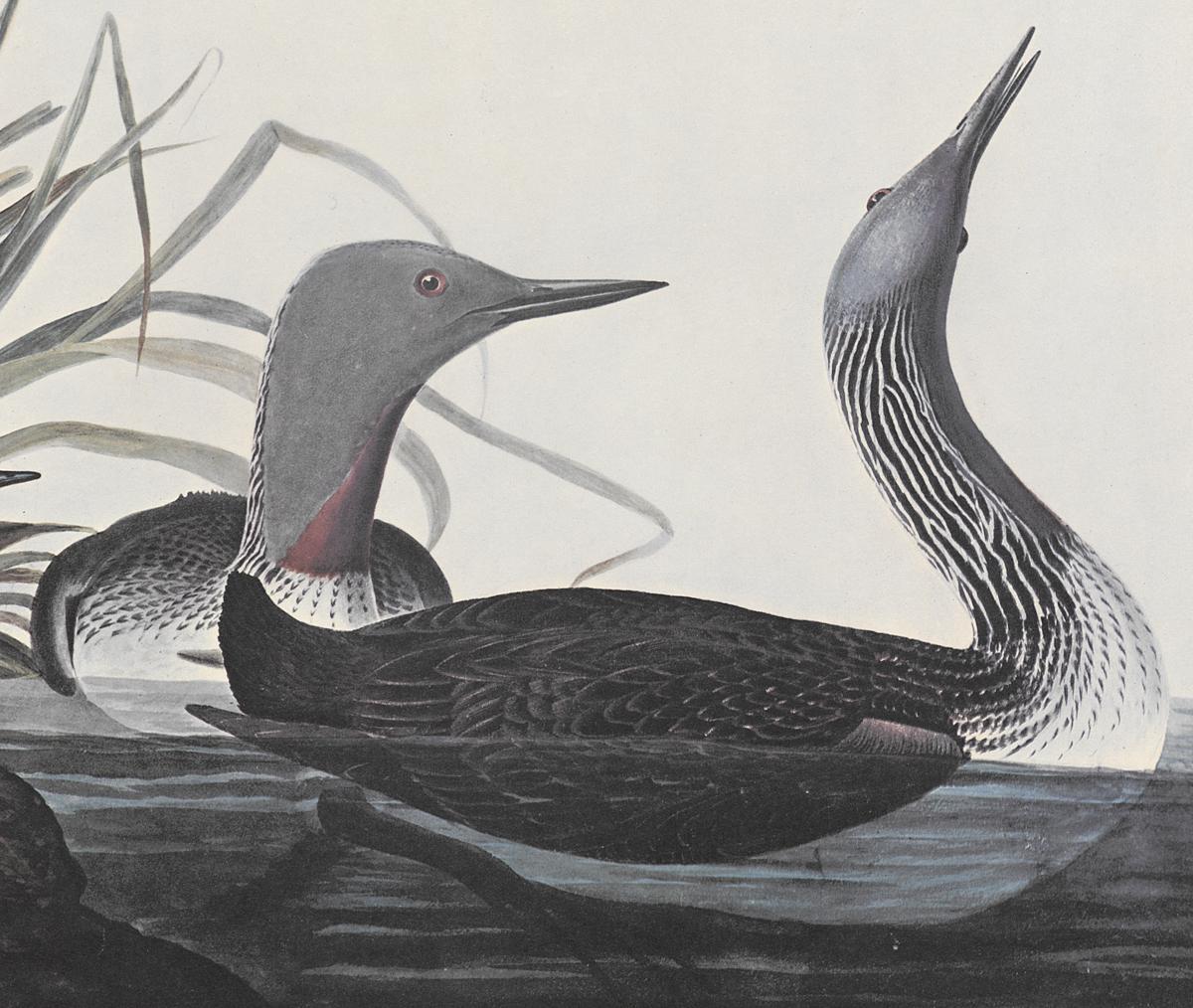 1969.2779.006 Print, Detail 2