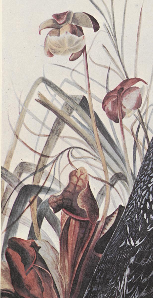 1969.2779.006 Print, Detail 4