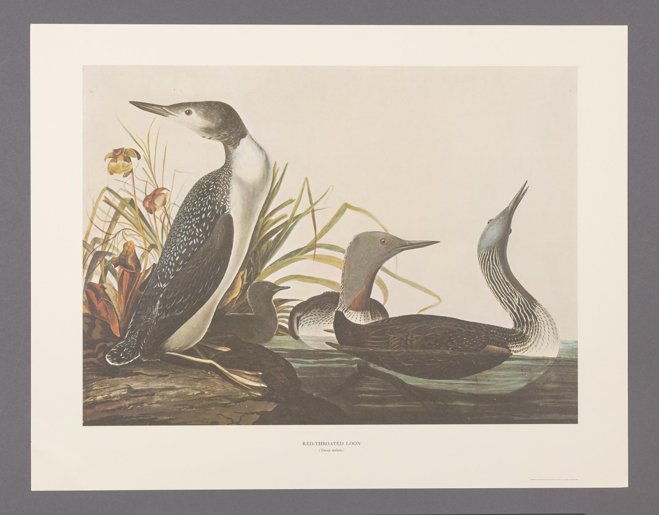 1969.2779.007 Print, view 1