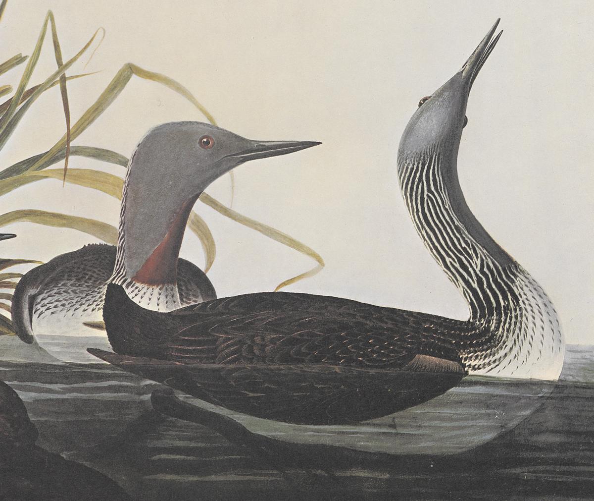 1969.2779.007 Print, Detail 2