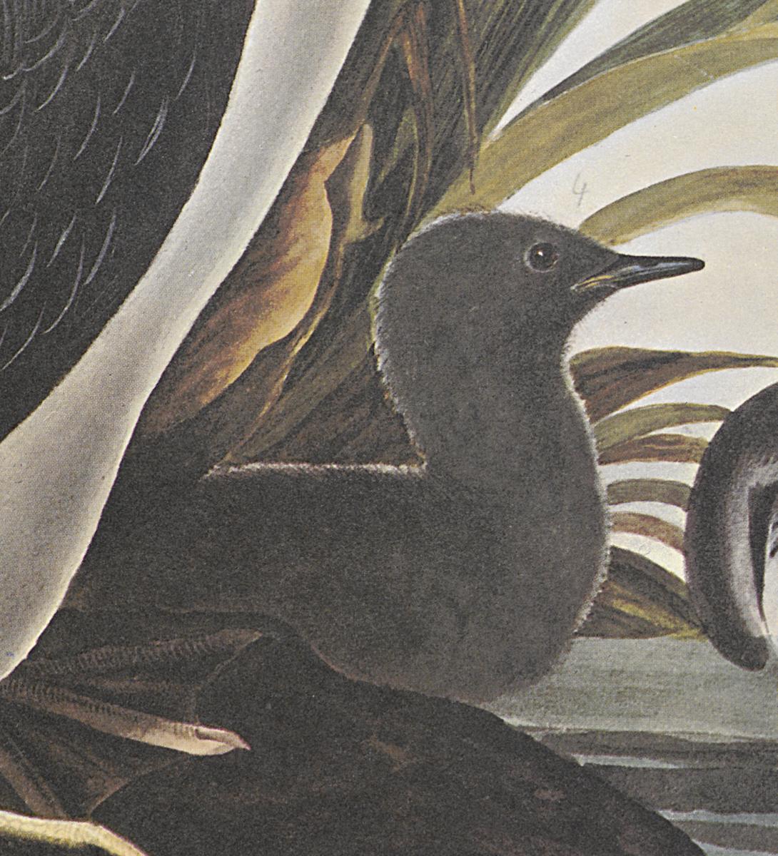 1969.2779.007 Print, Detail 3