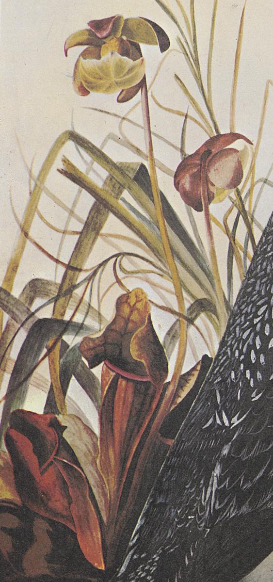 1969.2779.007 Print, Detail 4