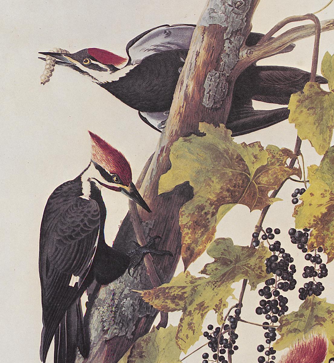 1969.2779.008 Print, Detail