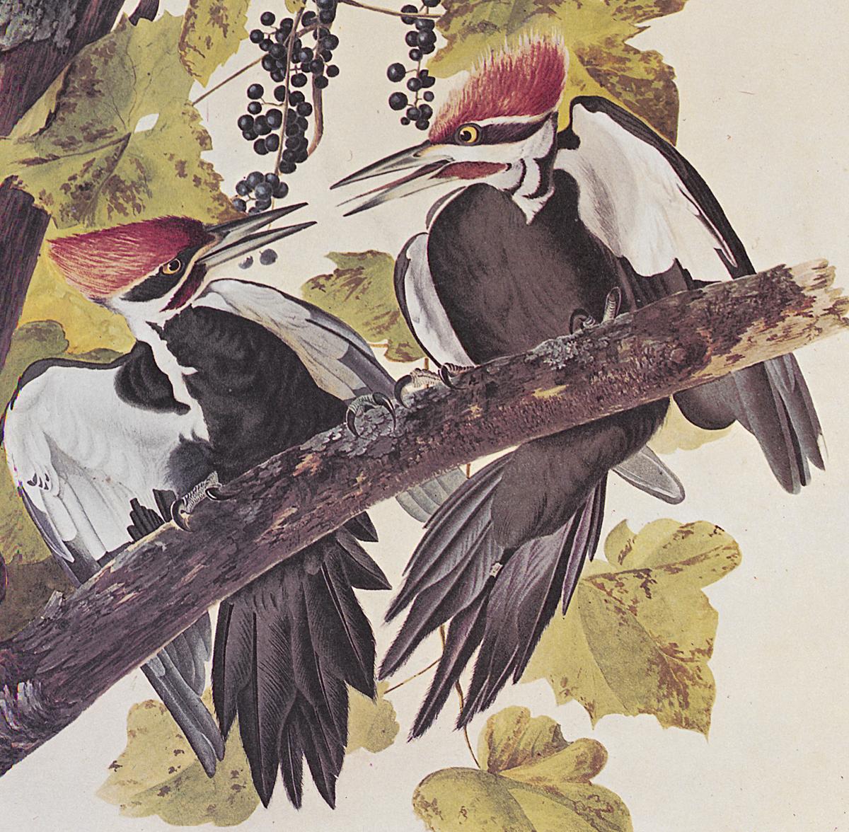 1969.2779.008 Print, Detail 2