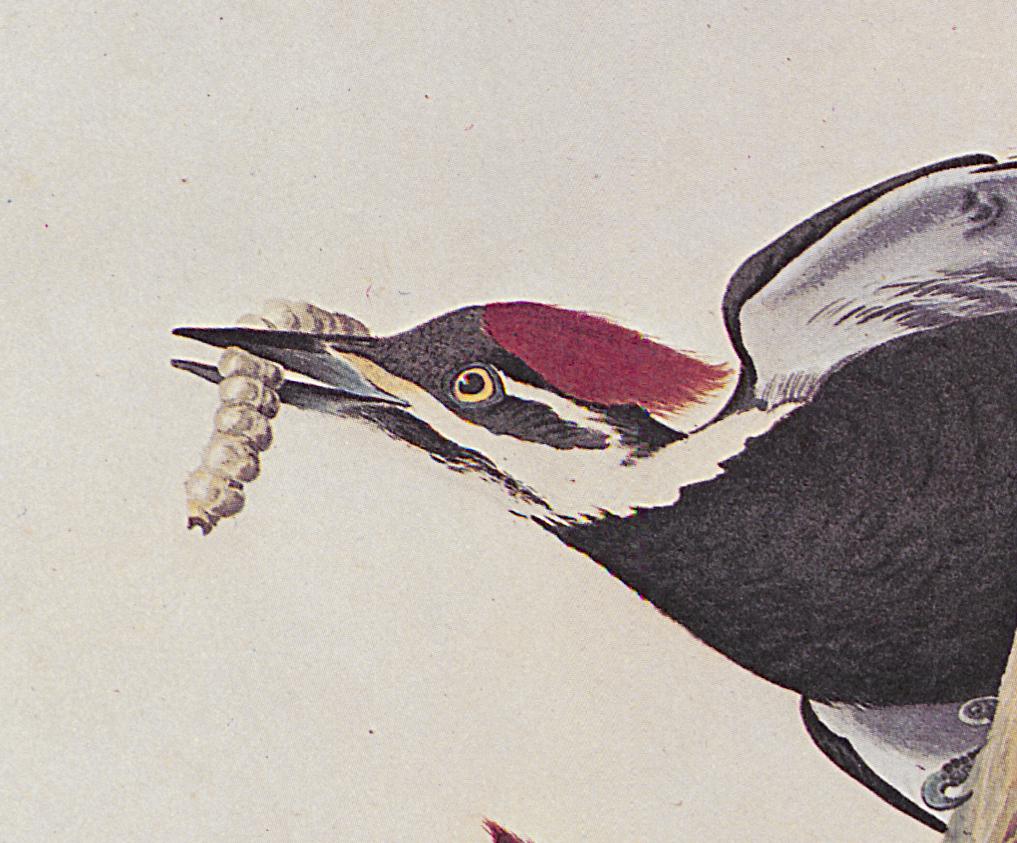 1969.2779.008 Print, Detail 3