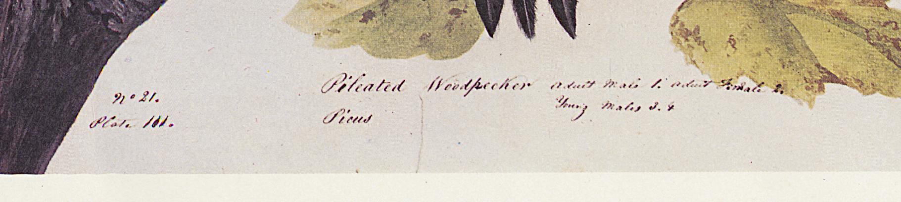 1969.2779.008 Print, Detail 4