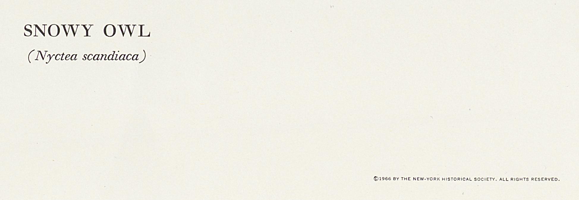 1969.2779.009 Print, Detail 3