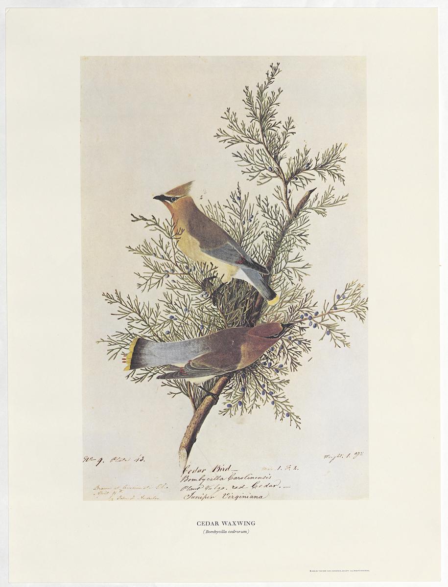 1969.2779.010 Print