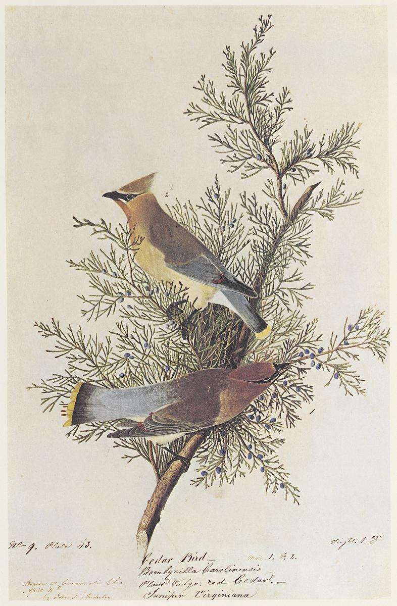 1969.2779.010 Print, View 2