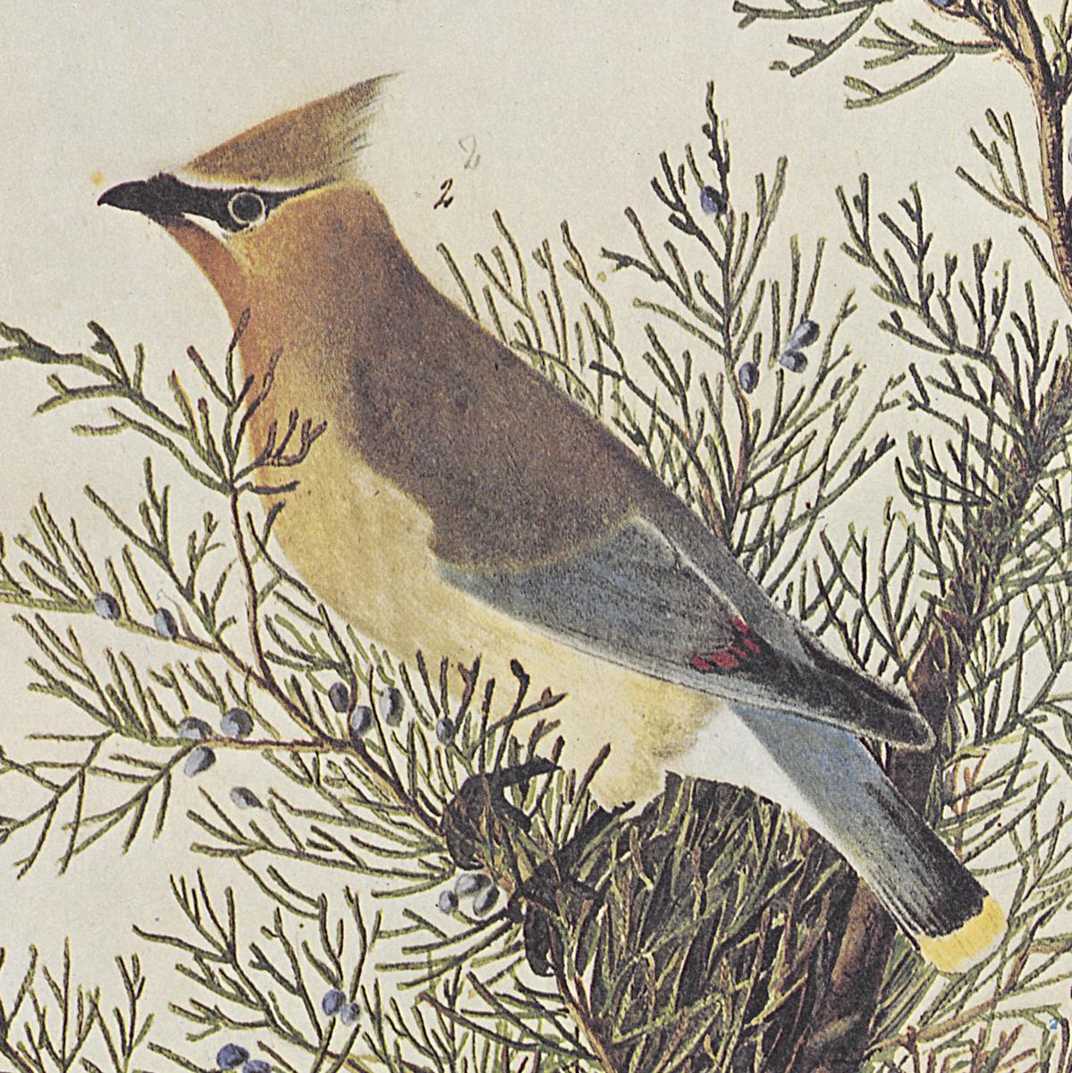 1969.2779.010 Print, Detail 2