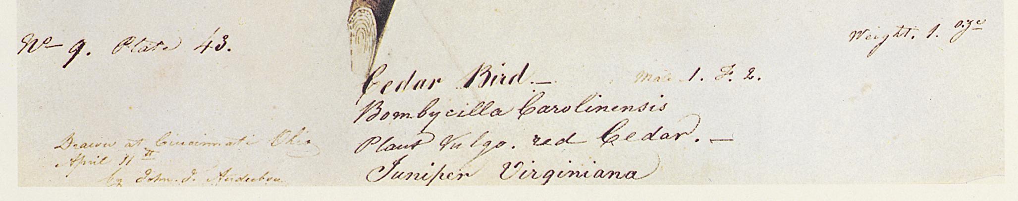 1969.2779.010 Print, Detail 3
