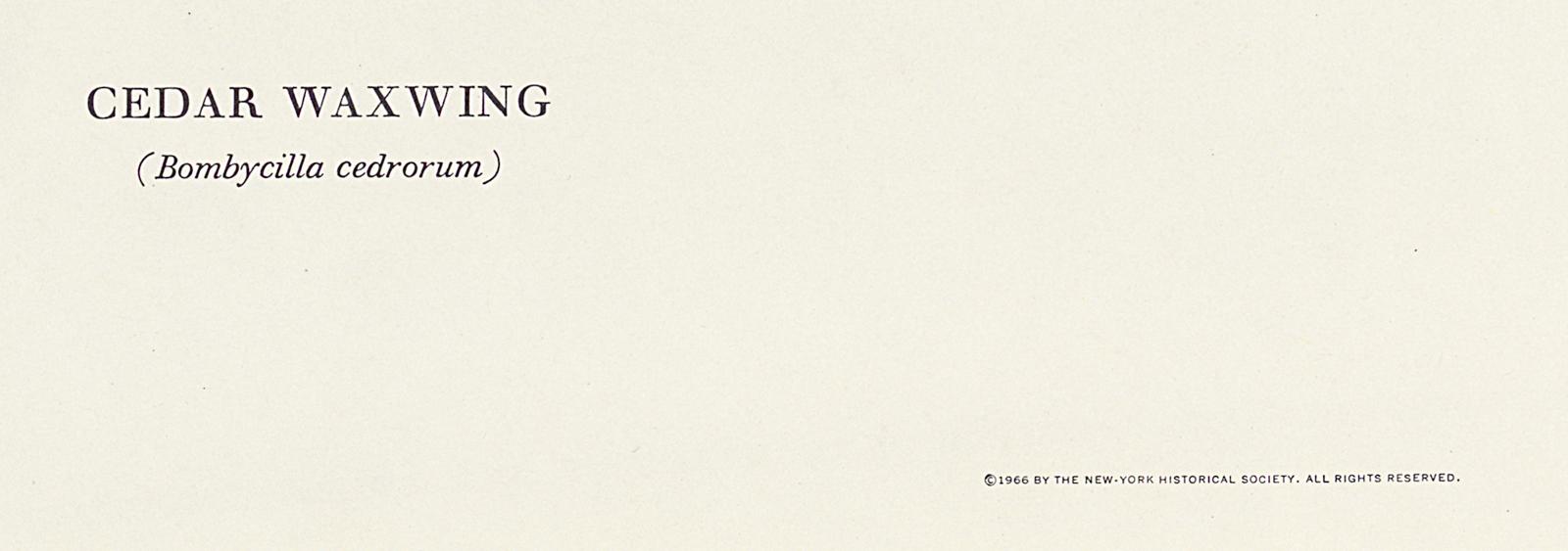 1969.2779.010 Print, Detail 4