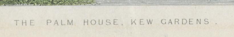 1969.2798 A Print, Detail 6