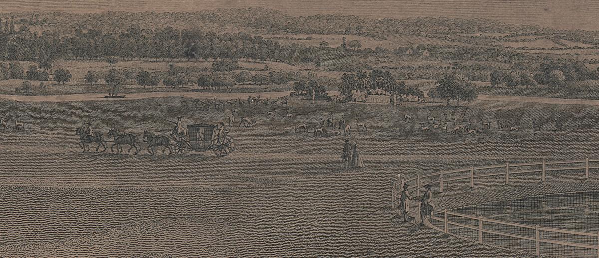 1969.2811 Print, Detail 4