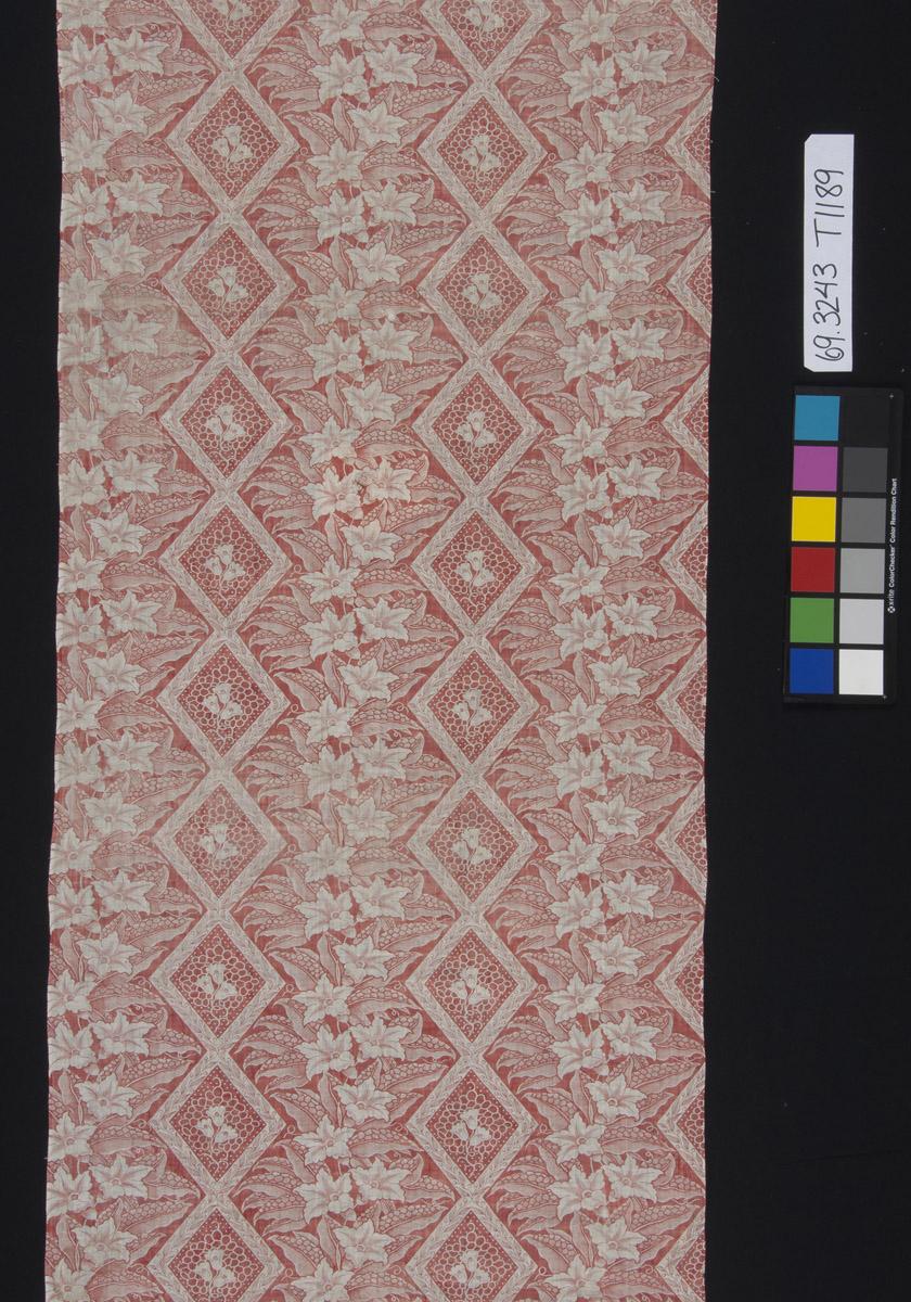 1969.3243 Textile, printed, detail 1