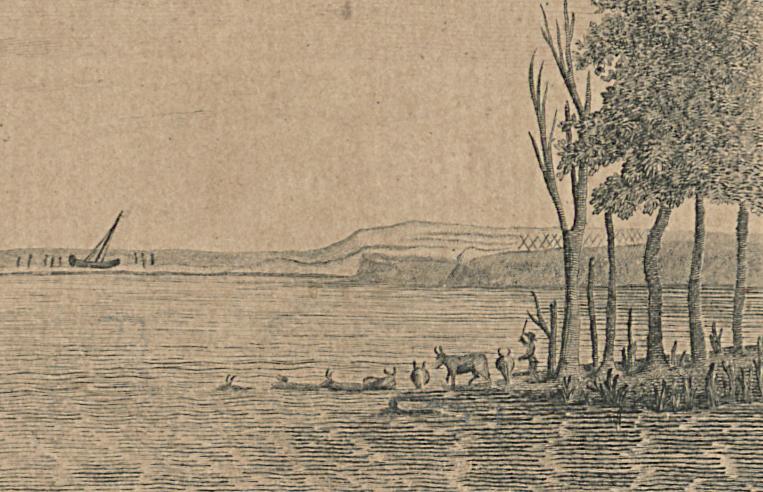 1969.3578 Print, Detail 2