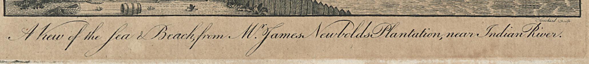 1969.3578 Print, Detail 3