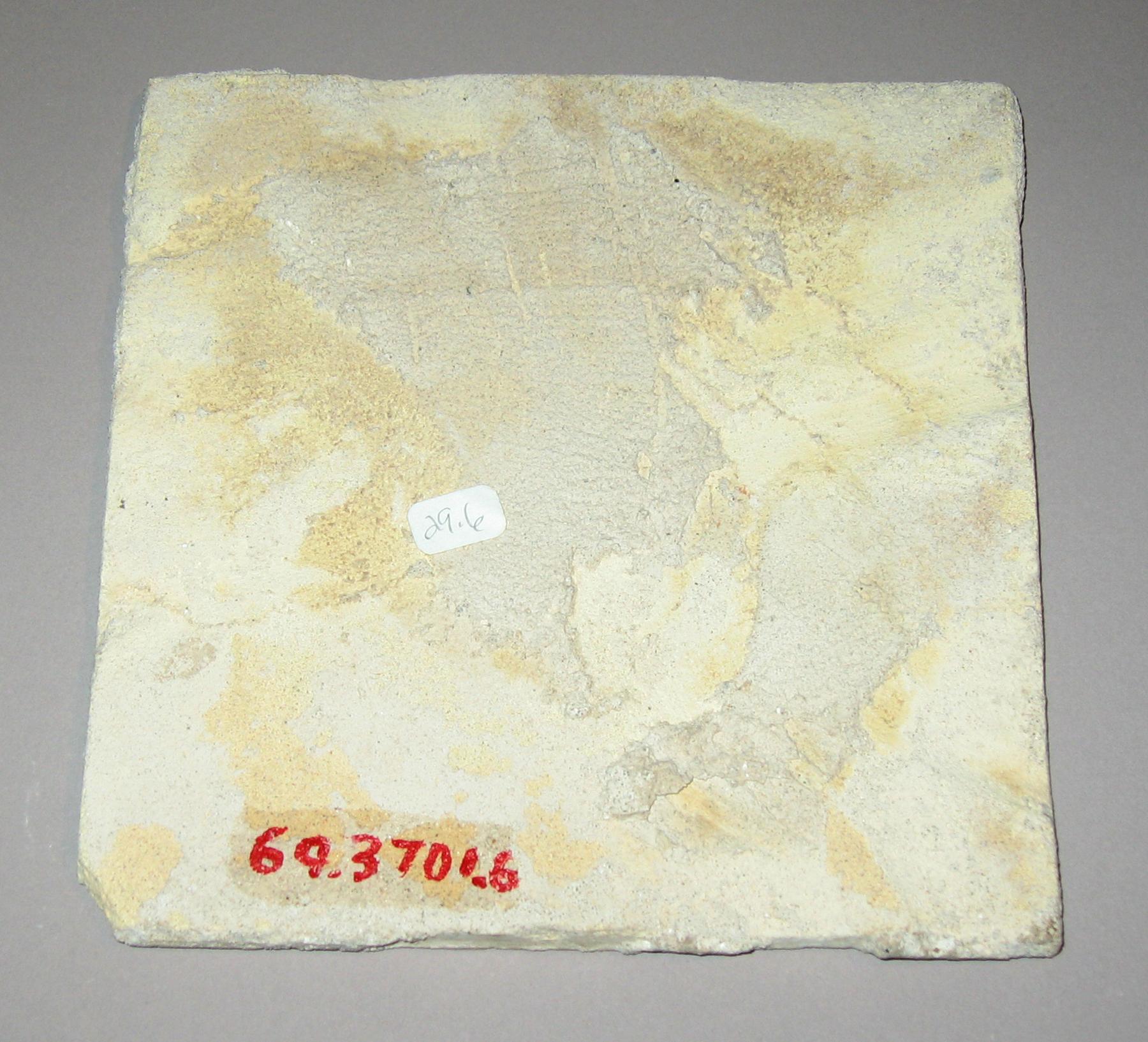 1969.3701.006 Delft tile (back)