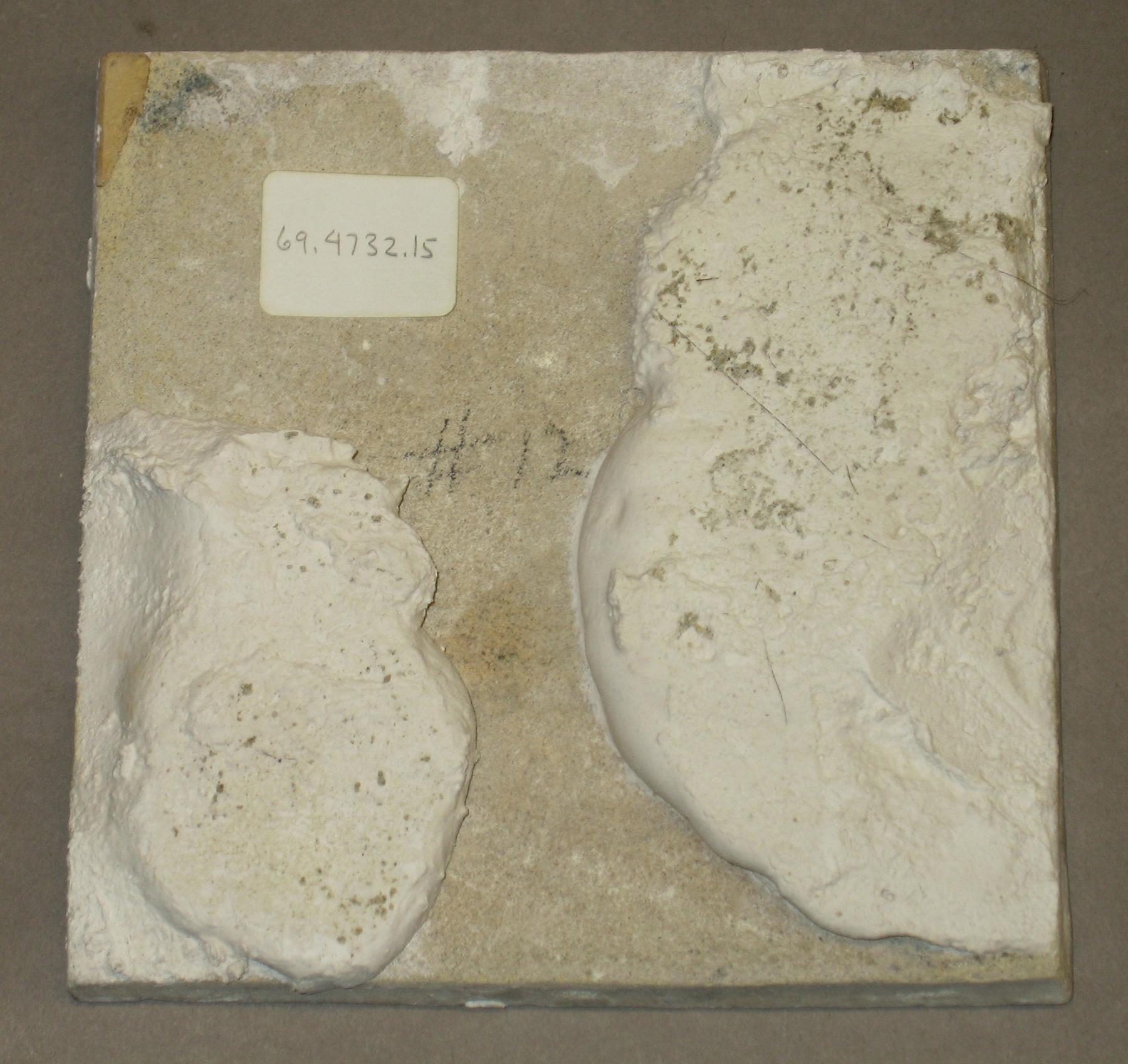 1969.4732.015 Delft tile (back)
