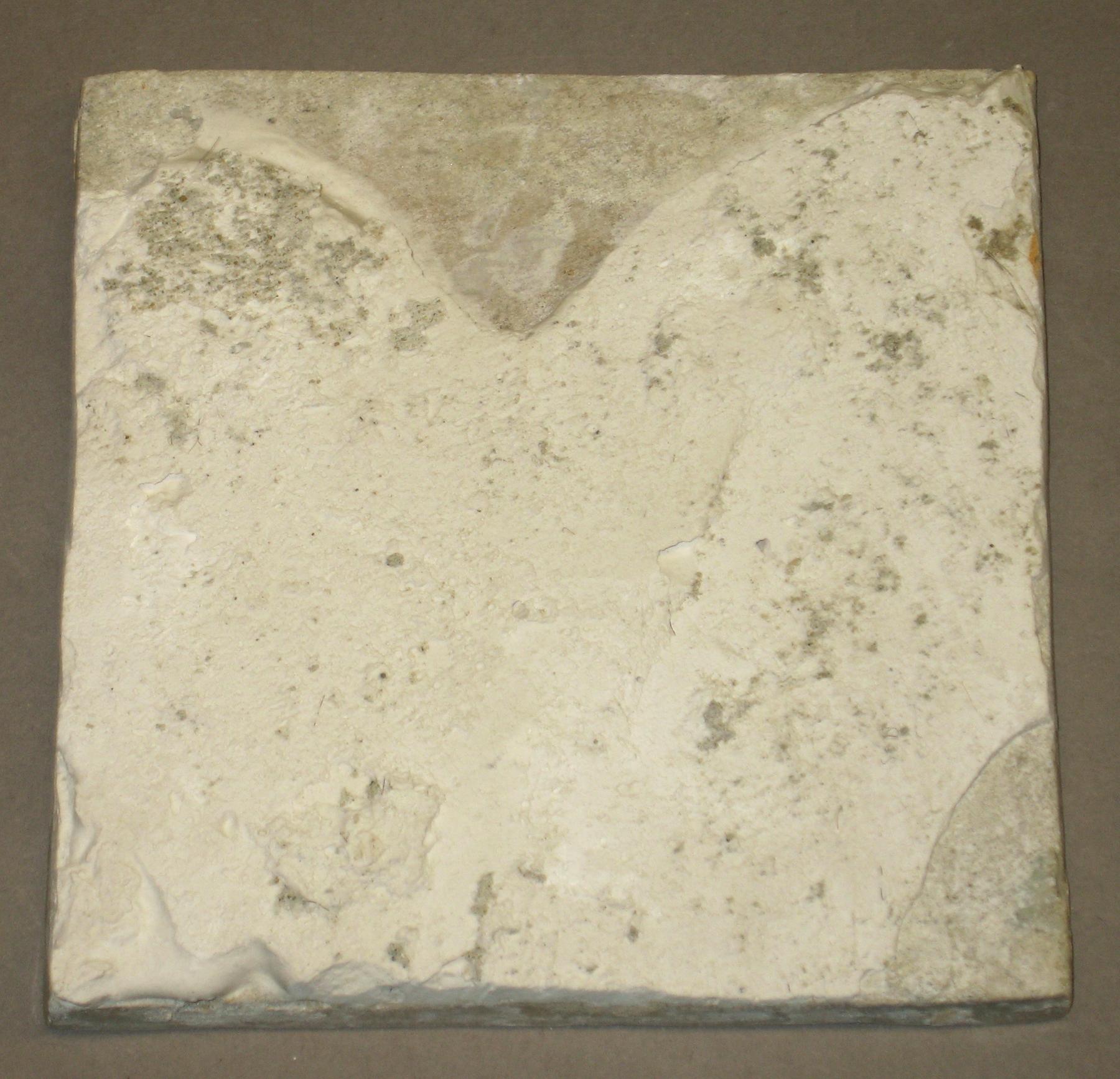 1969.4732.020 Delft tile (back)